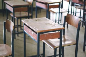 Воропаєв: Проєктувати ліцеї для привидів – тупикова стратегія