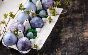 Яйця набудуть синього кольору