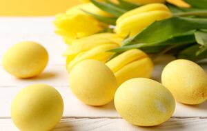 Крашанки матимуть лимонний відтінок