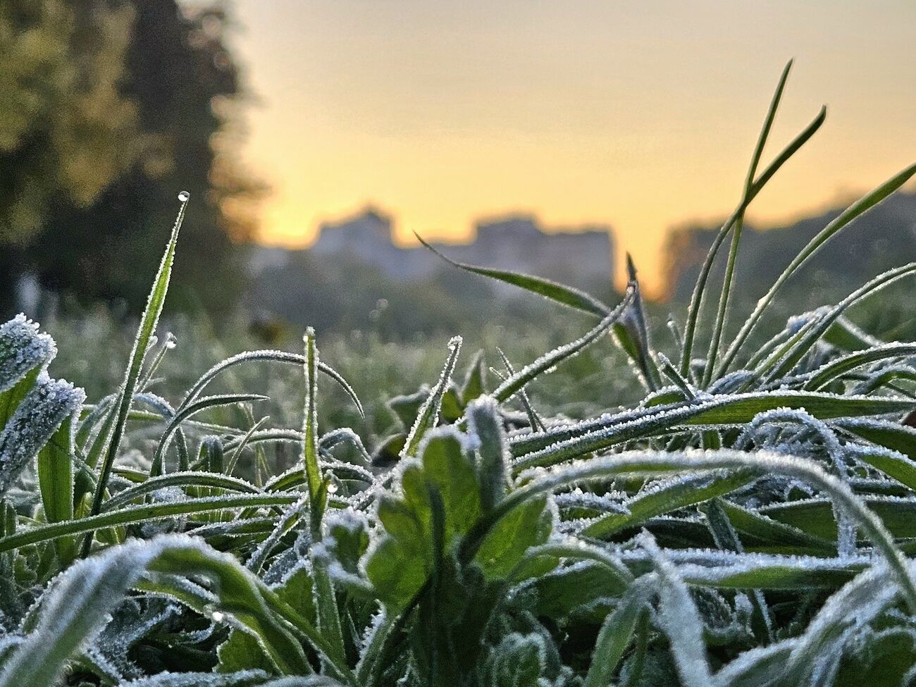 Початок відчутнішого потепління синоптикиня прогнозує на 14–15 квітня