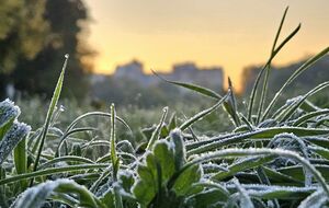 Початок відчутнішого потепління синоптикиня прогнозує на 14–15 квітня