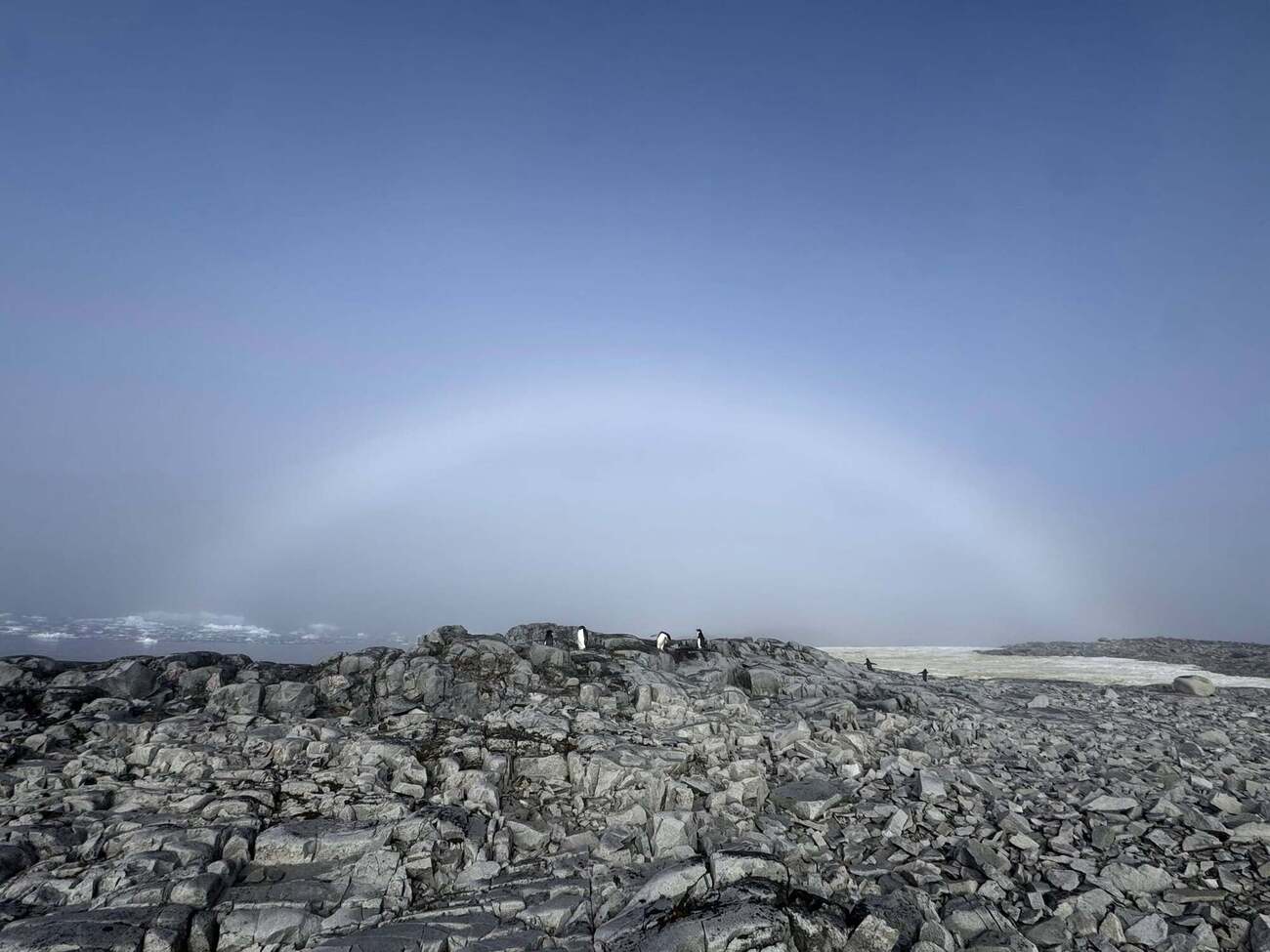 Радуга не имеет разноцветных полос из-за размера капель воды