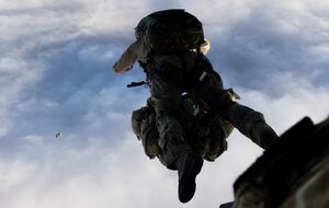 Британські військові десантували медиків на найвіддаленіший острів Королівства через хантавірус. Фото