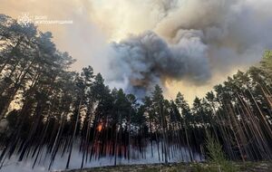 У Житомирській області триває масштабна лісова пожежа в заповіднику. Фото