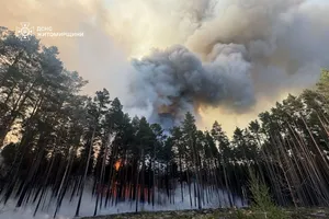 У Житомирській області триває масштабна лісова пожежа в заповіднику. Фото