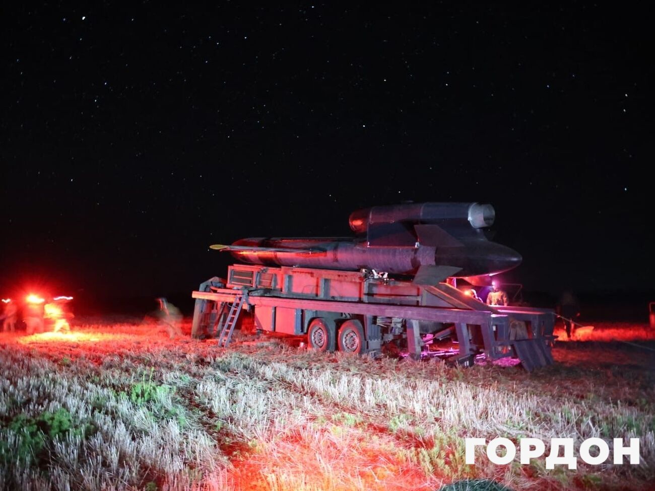 "Жалюгідна копія". Радник Зеленського розповів, чим "Герань-5" росіян не дотягує до "Фламінго"