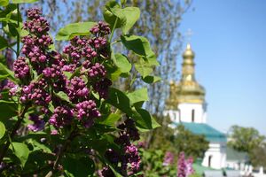 В Украину возвращается значительное потепление