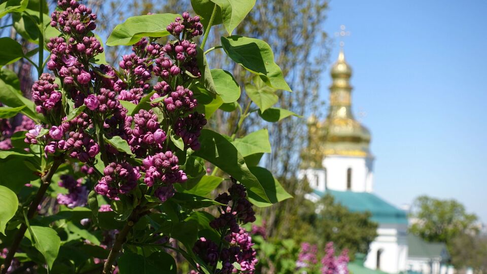 В Украину возвращается значительное потепление