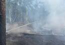 Російські дрони знову спричинили пожежі в Чорнобильській зоні відчуження