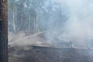 Російські дрони знову спричинили пожежі в Чорнобильській зоні відчуження