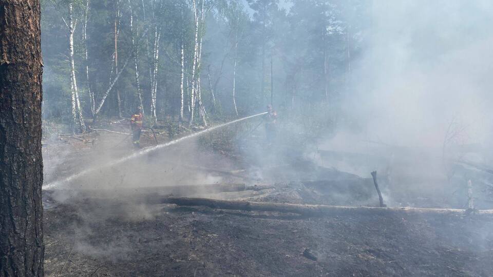 Российские дроны вновь вызвали пожары в Чернобыльской зоне отчуждения