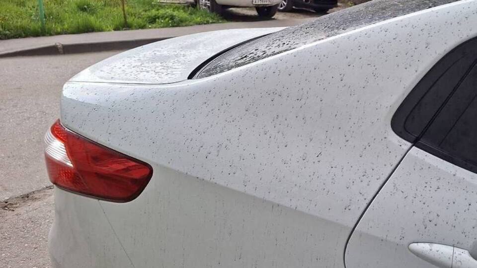 В Рязани после атаки на НПЗ пошел "нефтяной дождь". Эксперты сказали, чем он опасен