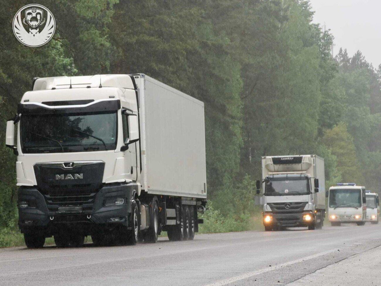 В Україну повернули тіла 528 загиблих на війні з РФ. Розпочато процедури ідентифікації