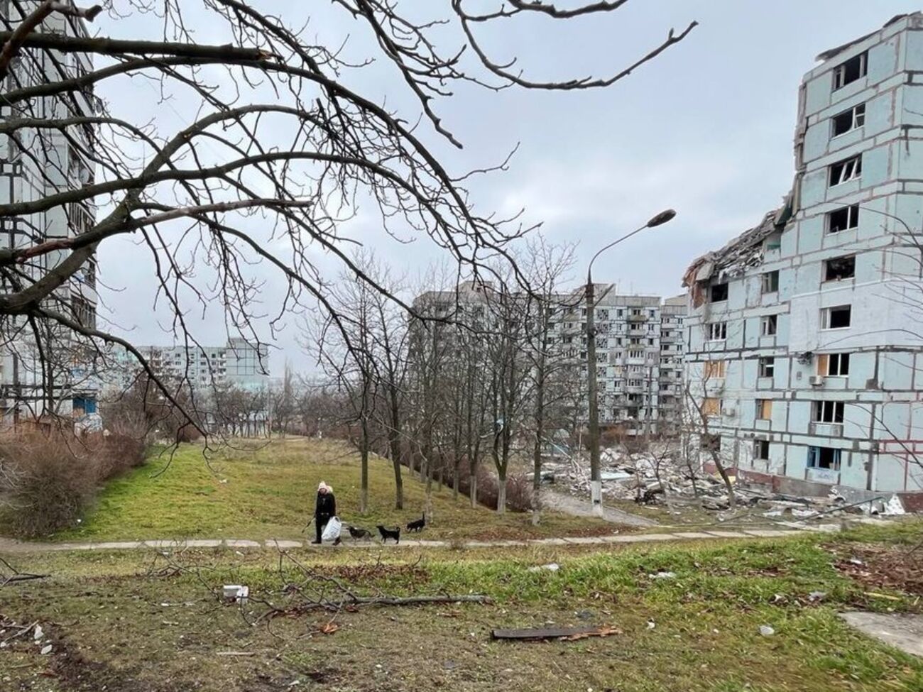 Сили оборони вибили росіян з основних локацій у Степногірську Запорізької області. У ГУР показали відео