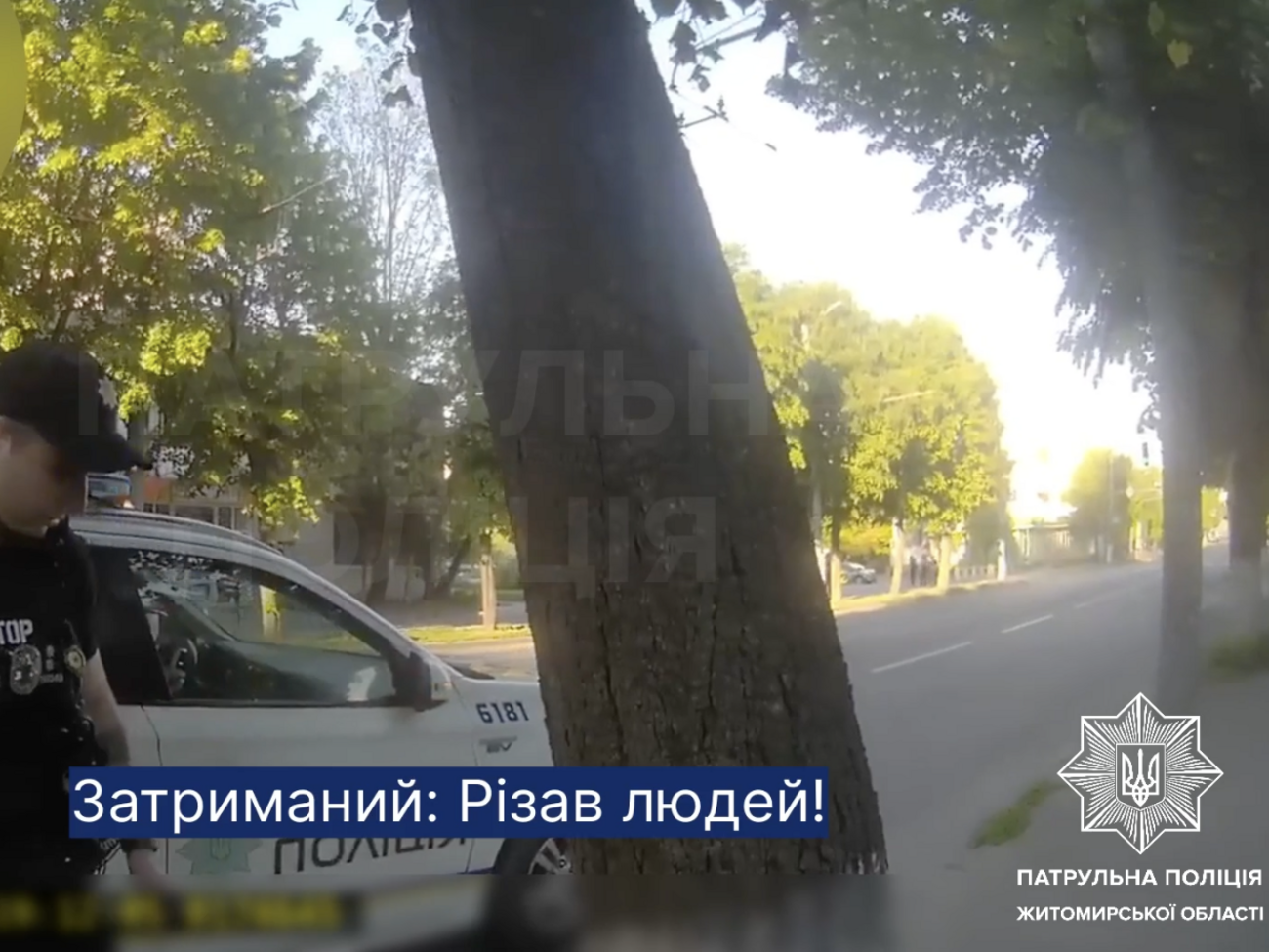 Різанина в Житомирі. Підозрюваний був у розшуку через СЗЧ. Відео