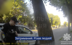 Резня в Житомире. Подозреваемый был в розыске из-за СОЧ. Видео