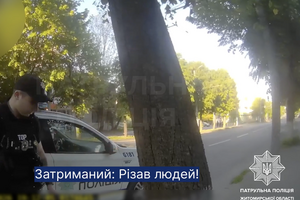 Різанина в Житомирі. Підозрюваний був у розшуку через СЗЧ. Відео