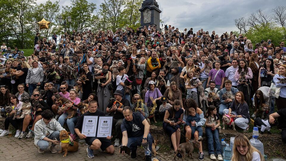 "Це не собака, а дитина". В Одесі встановили рекорд України за кількістю французьких бульдогів