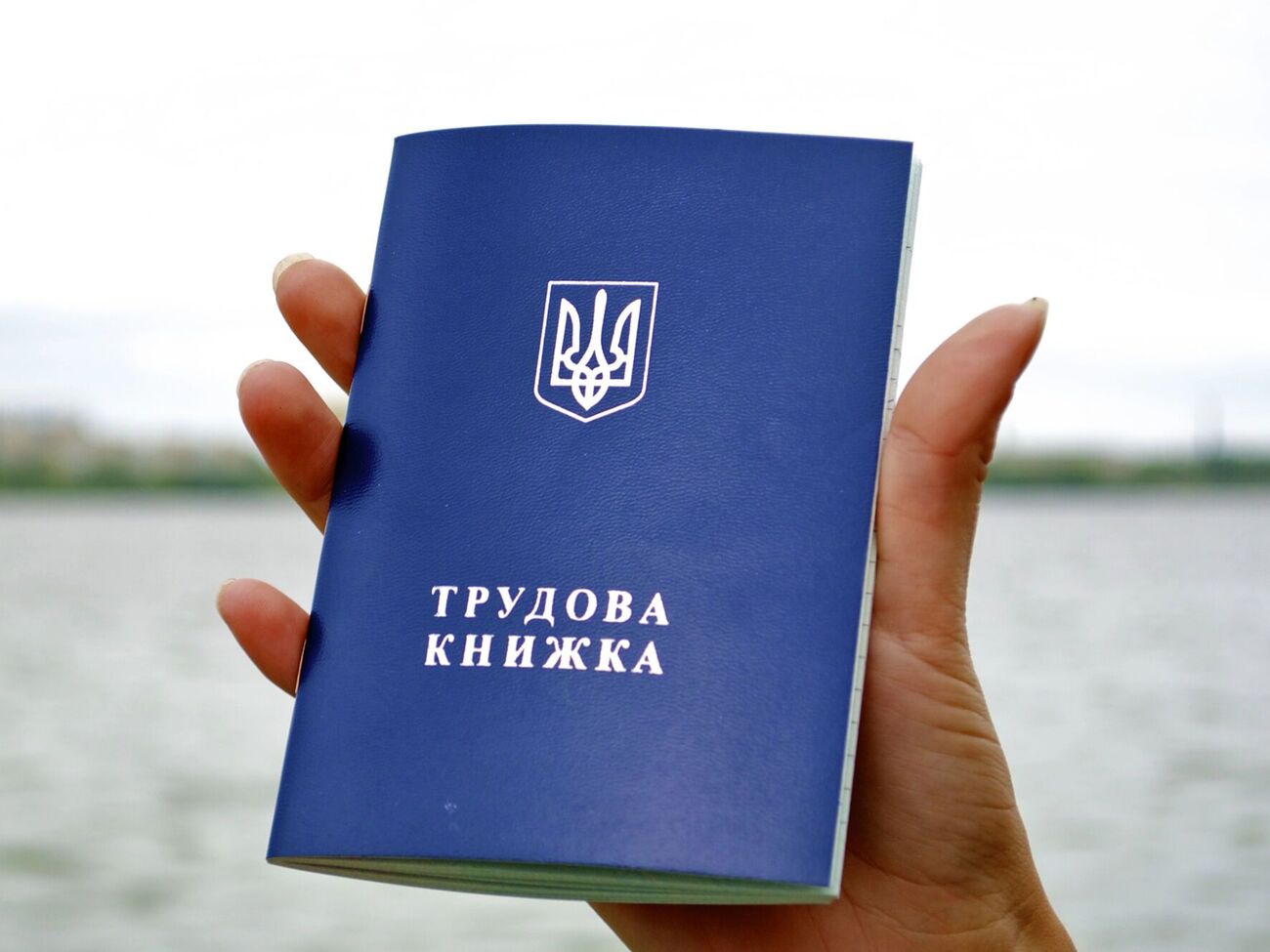 Добігає кінця кампанія з оцифрування трудових. Кому це треба зробити й чи "згорить" стаж після 10 червня