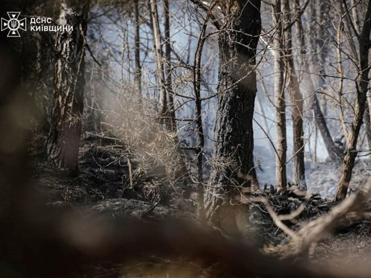 У Чорнобилі вже майже тиждень ліквідовують пожежу, яка спалахнула внаслідок падіння російських БПЛА. Фото