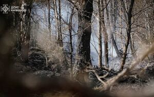 В Чернобыле уже почти неделю ликвидируют пожар, который вспыхнул в результате падения российских БПЛА. Фото