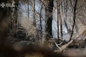 У Чорнобилі вже майже тиждень ліквідовують пожежу, яка спалахнула внаслідок падіння російських БПЛА. Фото