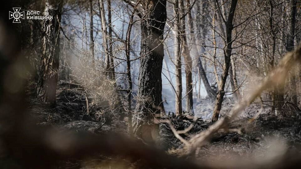 У Чорнобилі вже майже тиждень ліквідовують пожежу, яка спалахнула внаслідок падіння російських БПЛА. Фото