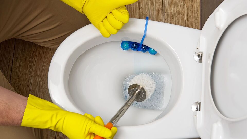 Ці копійчані засоби допоможуть відчистити унітаз до блиску