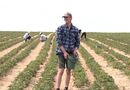 "У нас не пьют, потому что в каждом дворе есть..." Что сейчас происходит в "клубничном" селе на Волыни