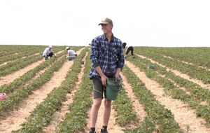 "У нас не пьют, потому что в каждом дворе есть..." Что сейчас происходит в "клубничном" селе на Волыни