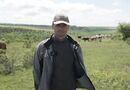 Депутаты пасут коров в украинском селе, а молоко сдают по 12 грн. Фото
