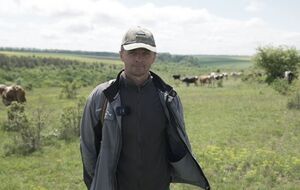 Депутаты пасут коров в украинском селе, а молоко сдают по 12 грн. Фото
