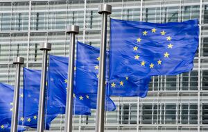 В ЕС считают, что Украина технически может завершить процесс вступления за четыре года – СМИ