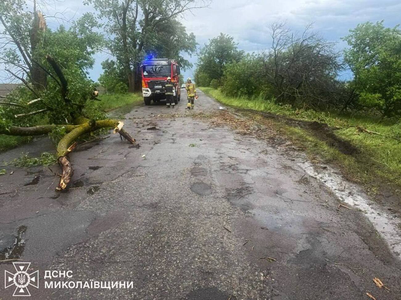Повалені дерева, сотні населених пунктів без світла. Наслідки негоди в Україні. Фоторепортаж