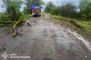 Повалені дерева, сотні населених пунктів без світла. Наслідки негоди в Україні. Фоторепортаж