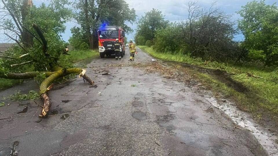Повалені дерева, сотні населених пунктів без світла. Наслідки негоди в Україні. Фоторепортаж