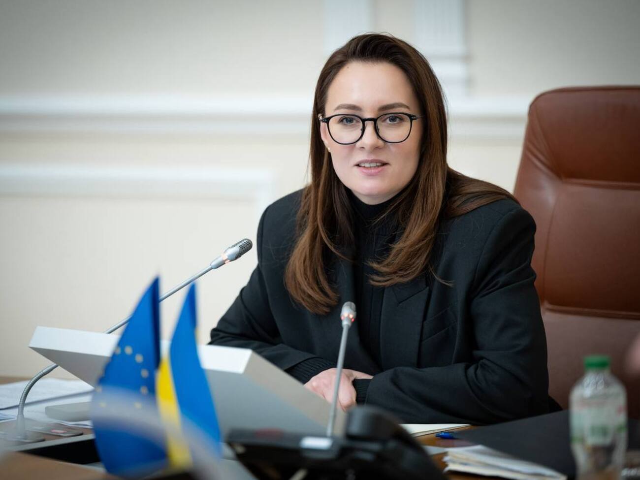 До проєкту приватного ППО долучилося 25 підприємств. Скільки дронів уже збили?