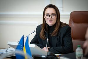 К проекту частной ПВО присоединились 25 предприятий. Сколько дронов уже сбили?