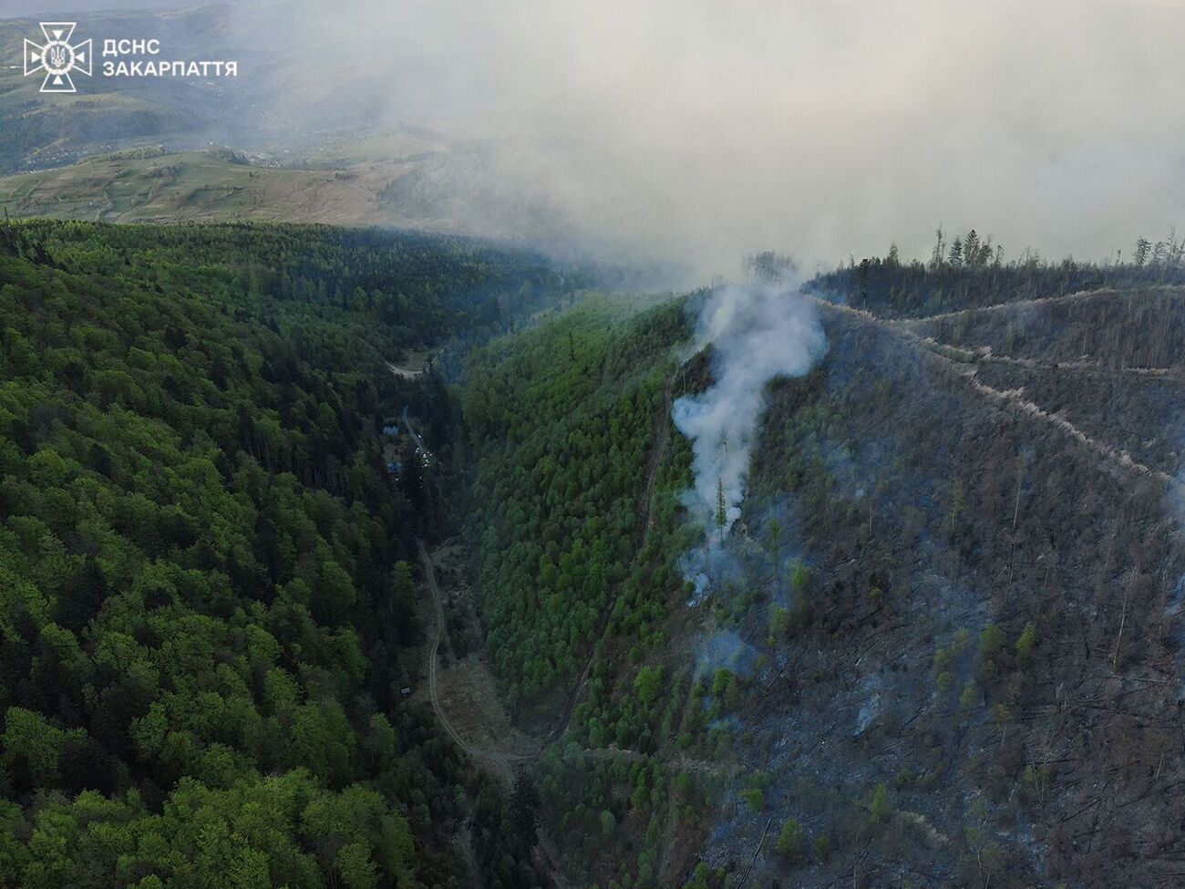Другий день поспіль на Закарпатті гасять масштабну лісову пожежу в Карпатах – ДСНС