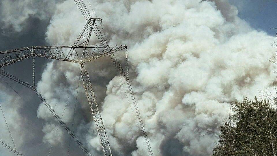У Чорнобильській зоні виникла масштабна лісова пожежа. Фото