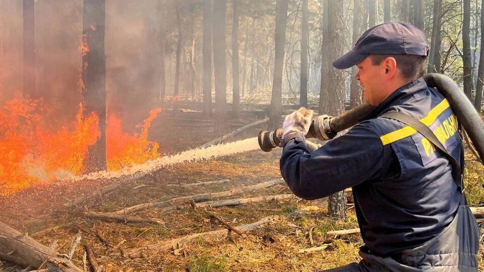 В зоне отчуждения бушует сильный пожар. В ГСЧС рассказали о его масштабах