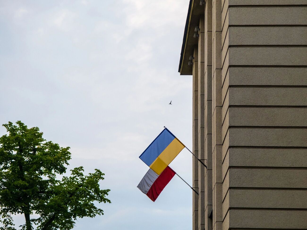 В Польше со здания мэрии сняли украинский флаг после скандала