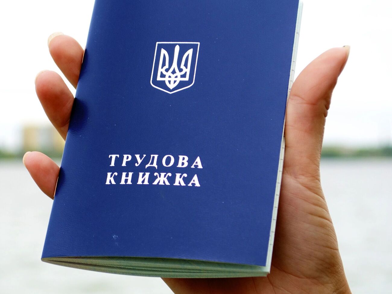 10 червня завершується час на оцифрування трудових книжок. Що буде потім і чи зникне стаж?