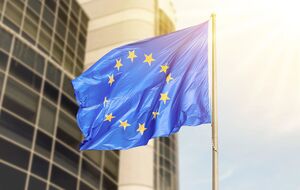 П'ять країн ЄС хочуть урізати права нових членів блоку. Як саме?
