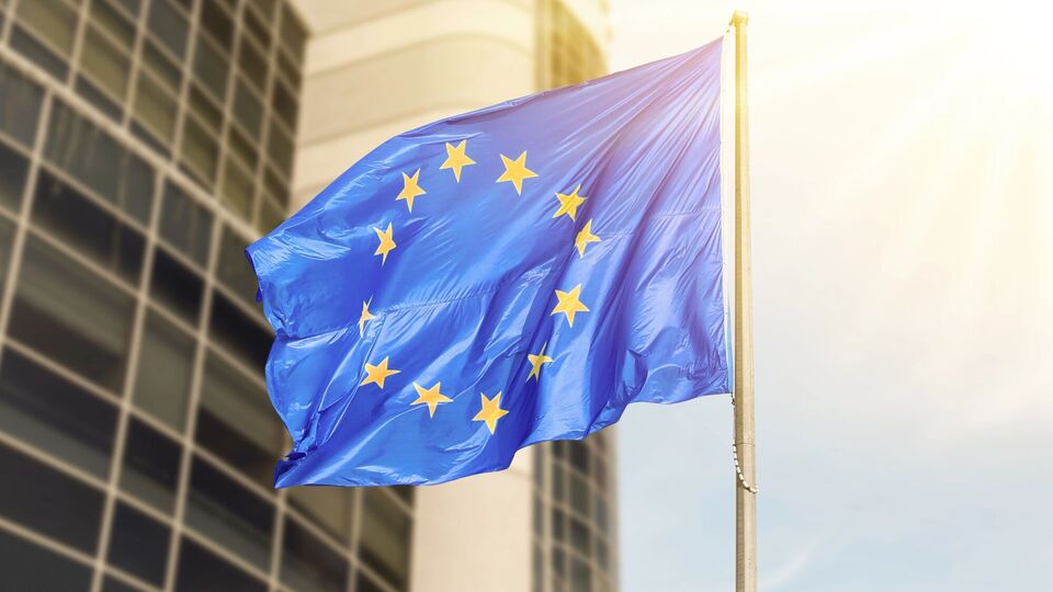 Європейці хочуть урізати права нових членів після вступу в ЄС. Як саме?