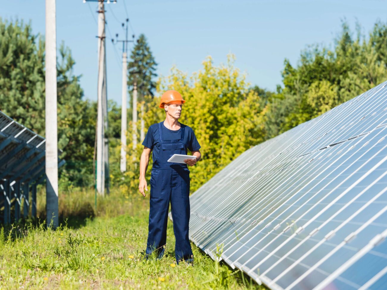 D.Solutions презентував систему управління енергією Yasno Power EMS