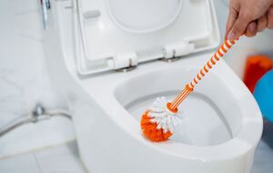 Желтые пятна исчезнут – просто засыпьте это в унитаз и потрите щеткой