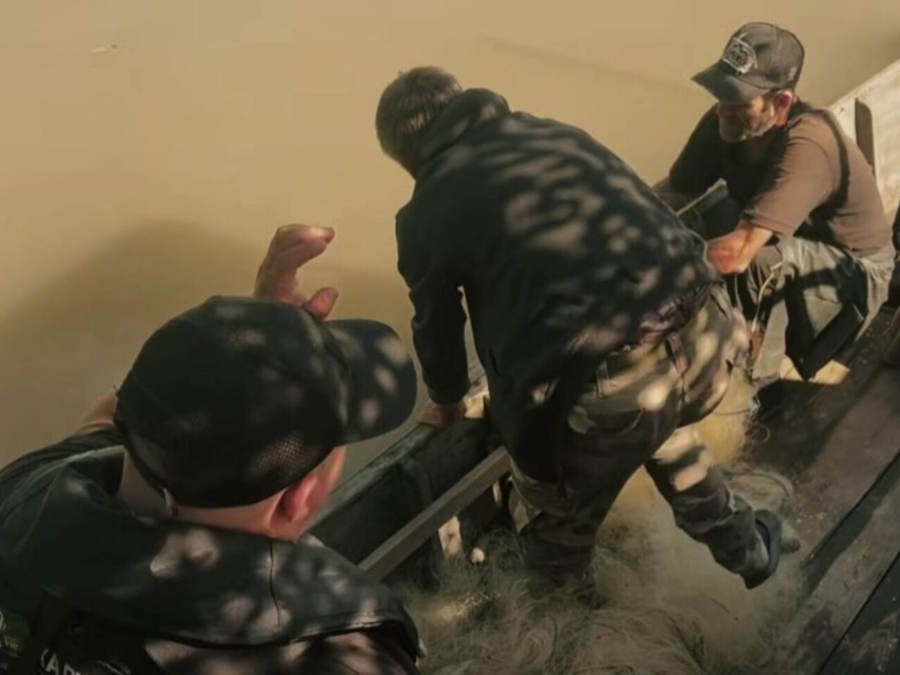 На Дунаї врятували рідкісну рибу-велетня. Відео