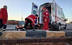 Удар по продовольчій безпеці світу. Армія РФ атакувала два судна в українському морському коридорі