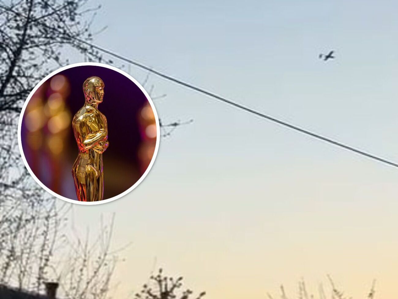 Дайте їй "Оскара" за озвучку – українка благословила дрон на Москву і стала зіркою в мережі. Відео